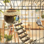 Hanging Coconut Shell Bird Nest With Ladder Cage Landscape Warm Bird House