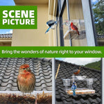 Window Bird Feeder with Non-Marking Self-Adhesive Hooks, Clear and Transparent, Outdoor Wild Bird Watching Gift, Garden Decor