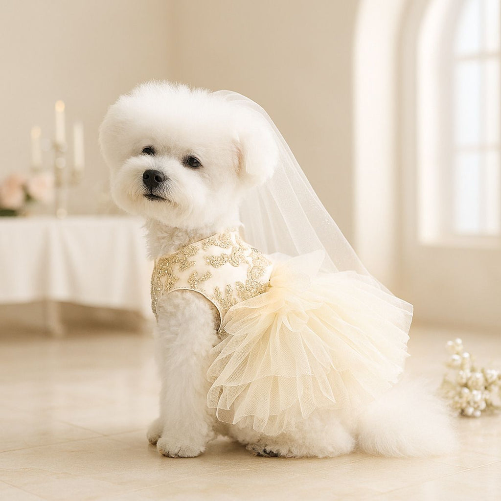 PETCIRCLE Pet Dog Cat Polyester Gauze Skirt Dress Starlight Wedding Dress XS-about 1.00 kg-1.50 kg