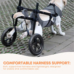 Rooster Farms Large Dog Wheelchair XL Harness - Adjustable Back Leg Aid