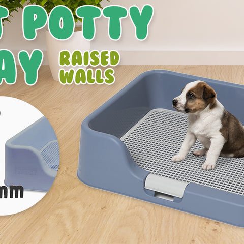 Dog Pet Potty Tray Training Toilet Raised Walls T1 BLUE