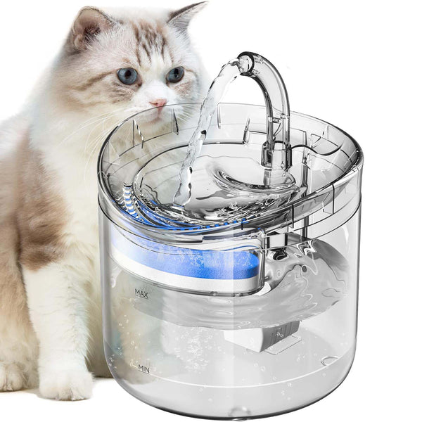 Cat Bowls, Feeders & Waterers