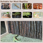 3D Reptile Box Background Plate Rock Stereoscopic Aquascape Tank Decoration - 2