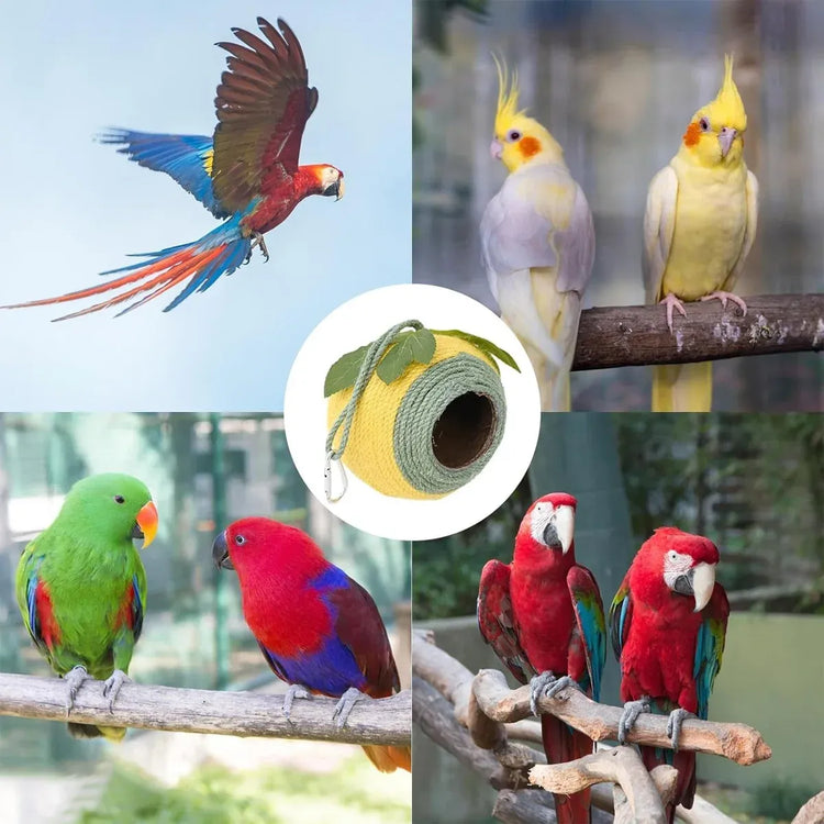 Bird Nest Parrot Nest Coconut Shell Braided Twine Colourful Cage Hanging Bed - White-Brown-Screw Model
