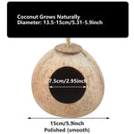 Lanyard Birdhouse Parrot Coconut Nest Bed Hanging Bird Cage for Small Birds - Stairs type