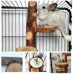 Parrot Stand Squirrel Training Swing Pet Stand Toy Small Pet Exercise Play