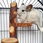 Parrot Stand Squirrel Training Swing Pet Stand Toy Small Pet Exercise Play