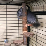 Parrot Stand Squirrel Training Swing Pet Stand Toy Small Pet Exercise Play