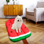 Pet Sleeping Mat Waterproof Moisture Proof Stain Resistant Non Slip Washable - Watermelon