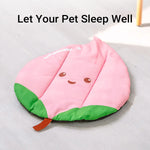 Pet Sleeping Mat Waterproof Moisture Proof Stain Resistant Non Slip Washable - Watermelon
