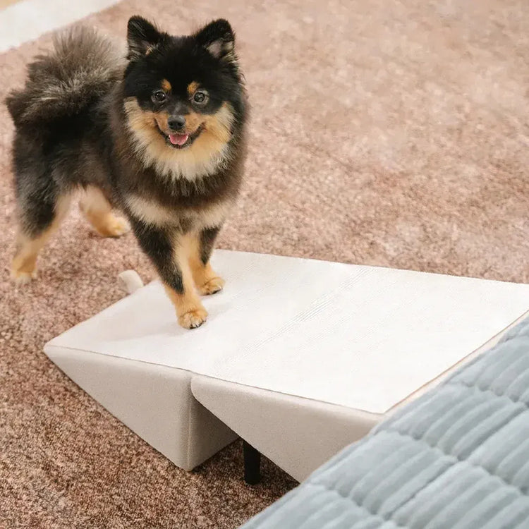 Foldable Pet Ramp Stairs Non Slip for Cats Dogs Home Furniture Safe Comfortable