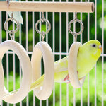 Parrot Chewing Boredom Relief Toy Hanging Ring for Small Medium Parakeet Durable