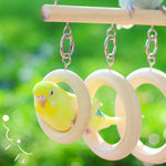 Parrot Chewing Boredom Relief Toy Hanging Ring for Small Medium Parakeet Durable