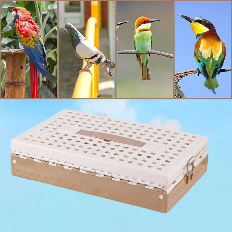 Pigeon Cage Foldable Plastic Homing Pigeon Crate Carrier Training Transport Box