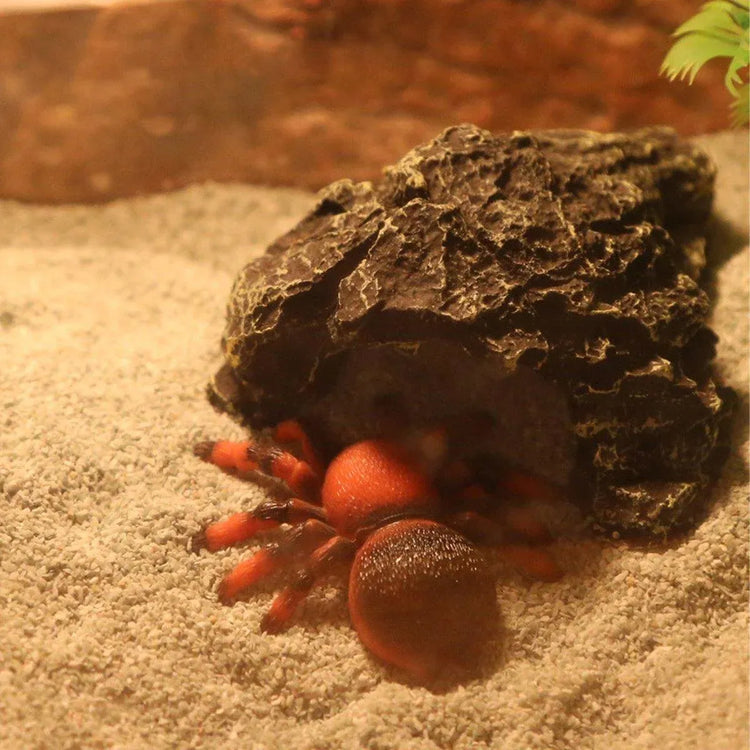 Pet Sand for Tortoises Snakes Lizards Spiders Multi-colour Reptile Habitat Decor - Red