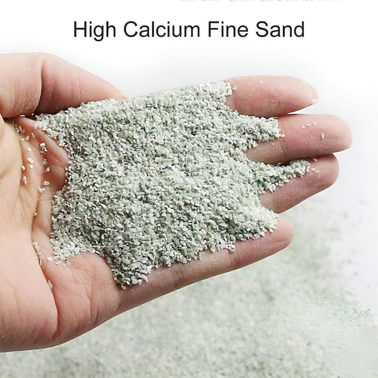 Pet Sand for Tortoises Snakes Lizards Spiders Multi-colour Reptile Habitat Decor - Red