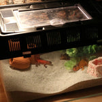 Pet Sand for Tortoises Snakes Lizards Spiders Multi-colour Reptile Habitat Decor - White