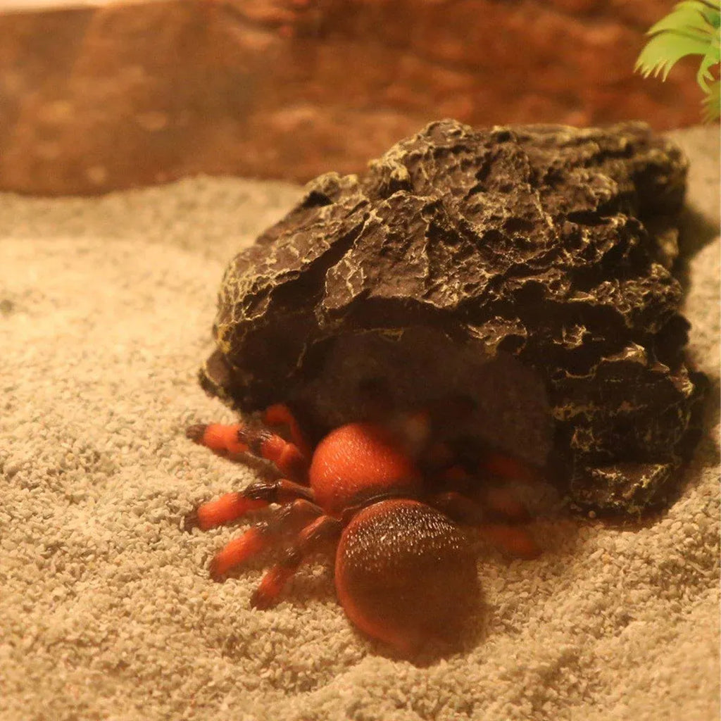 Pet Sand for Tortoises Snakes Lizards Spiders Multi-colour Reptile Habitat Decor - White