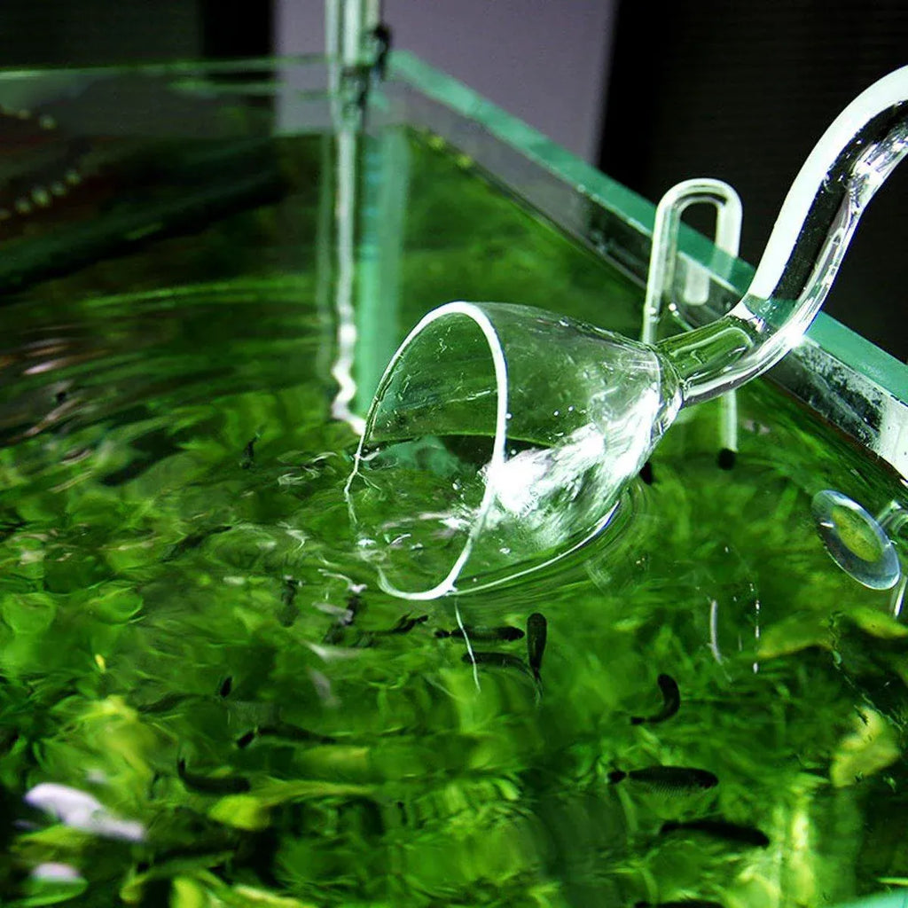 Aquarium Glass Inlet Outlet Pipe Fish Tank Filter Oil Film Remover Plant Holder - Hemispherical outlet-12mm