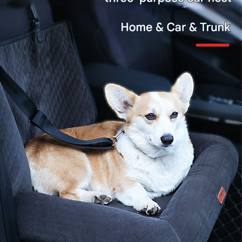 Turquoise Plush Dog Car Booster Seat - 2-in-1 Travel Bed for Small Dogs with Washable Cover